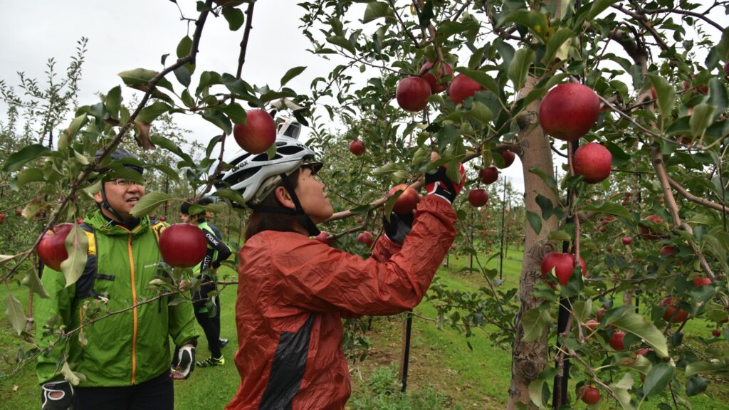 音江・石狩川サイクリングコース