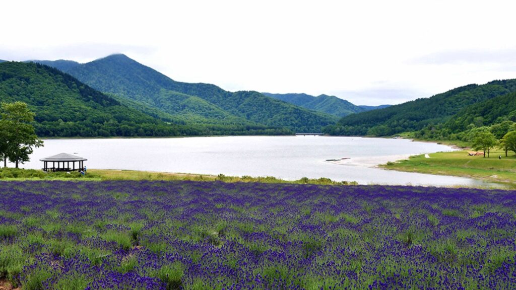 かなやま湖畔コース