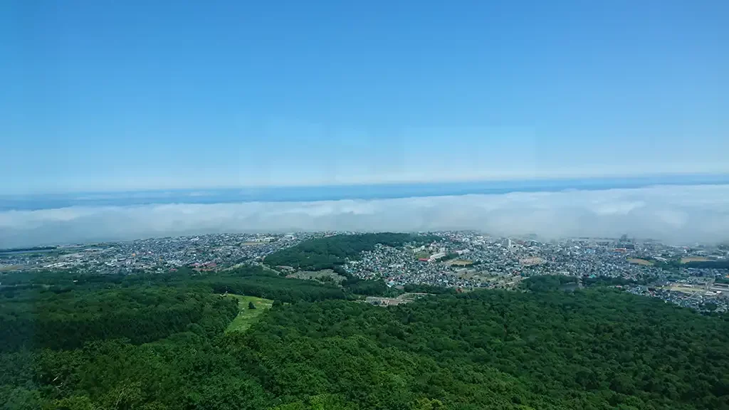 大山山頂&スカイタワーコース